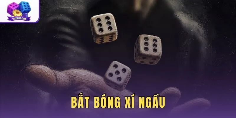 Bắt Bóng Xí Ngầu - Sự Thật Về Ảo Giác Đoán Điểm Xúc Xắc
