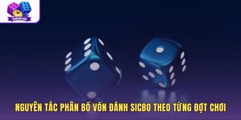 Kế hoạch Chia vốn đánh Sicbo theo đợt bảo vệ số dư