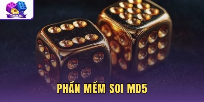 Phần Mềm Soi MD5 - Vạch Trần Sự Thật Chiêu Trò Lừa Đảo